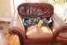 resIMGIMG_20100726_3714.JPG